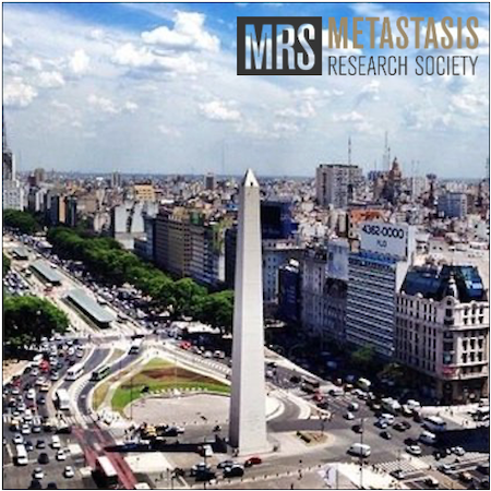 MRS 19th Biennial Congress (Buenos Aires)